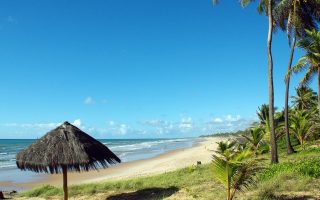 Que faire à Salvador de Bahia et ses alentours ?