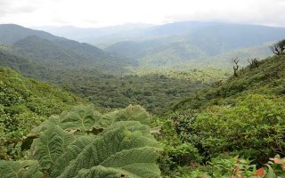 Souscrire à une assurance voyage avant de s’envoler vers le Costa Rica