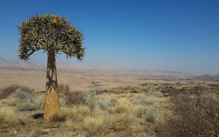 À la conquête des endroits touristiques namibiens à bord d’un 4×4