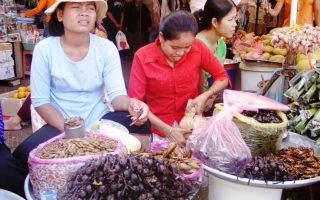 Faire  une visite du site d’Angkor lors d’un voyage Cambodge