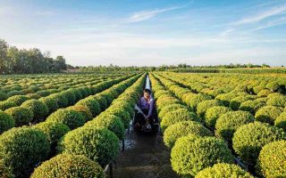Voyage écoresponsable au Vietnam :  Comment découvrir le pays tout en respectant l’environnement.