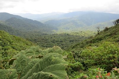 Souscrire-à-une-assurance-voyage-avant-de-s’envoler-vers-le-Costa-Rica-JPEG.jpg