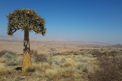 endroits-touristiques-namibiens-1.jpg