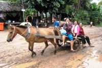 voyage-Cambodge_Battambang_Bamboo-train_2026voyage-Cambodge_Battambang_Bamboo-train16.jpg