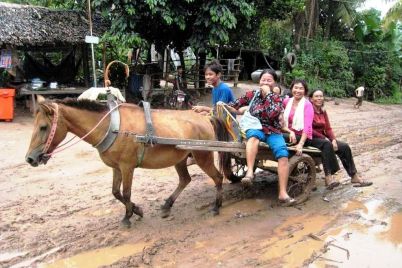 voyage-Cambodge_Battambang_Bamboo-train_2026voyage-Cambodge_Battambang_Bamboo-train16.jpg